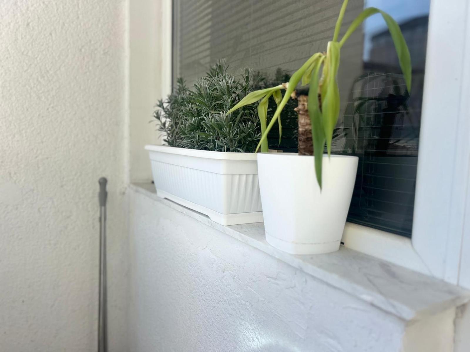 סקופיה Cinema Vardar Apartment מראה חיצוני תמונה